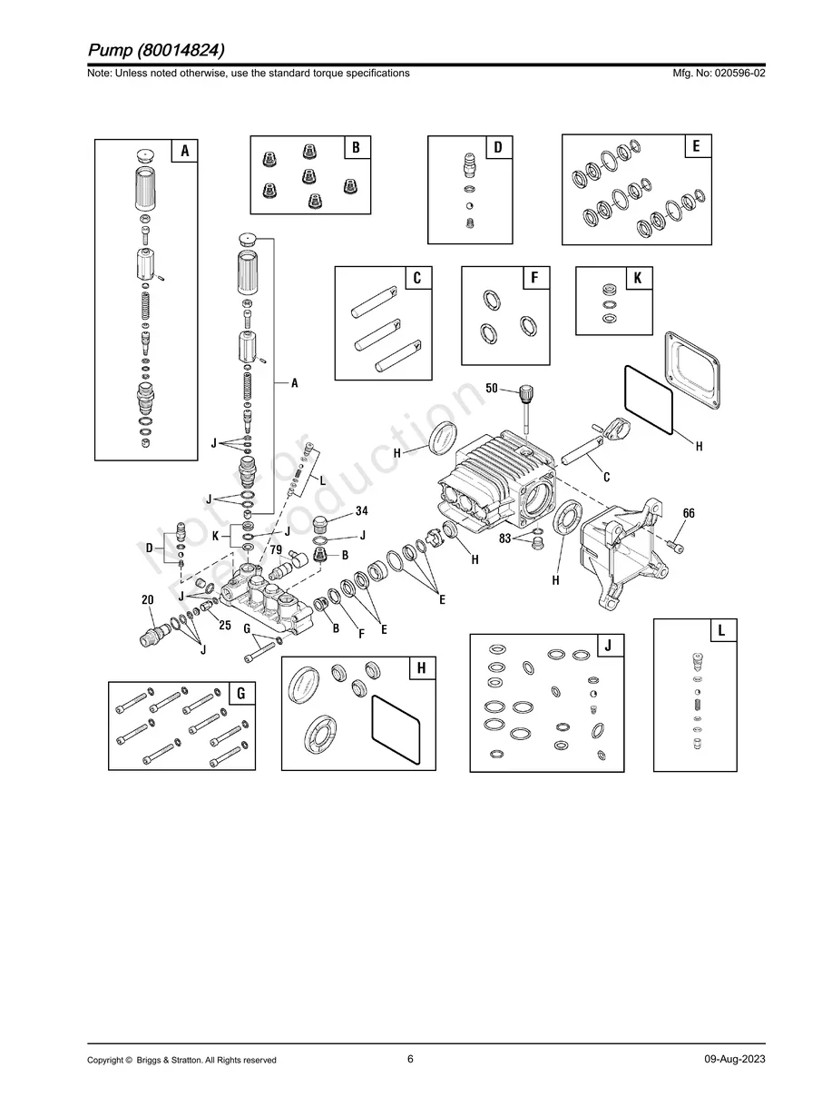 BRIGGS AND STRATTON, 020596-02, IPL.6